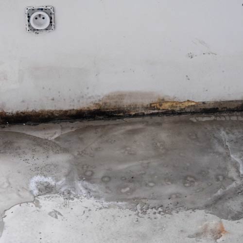 Infiltrations et humidité